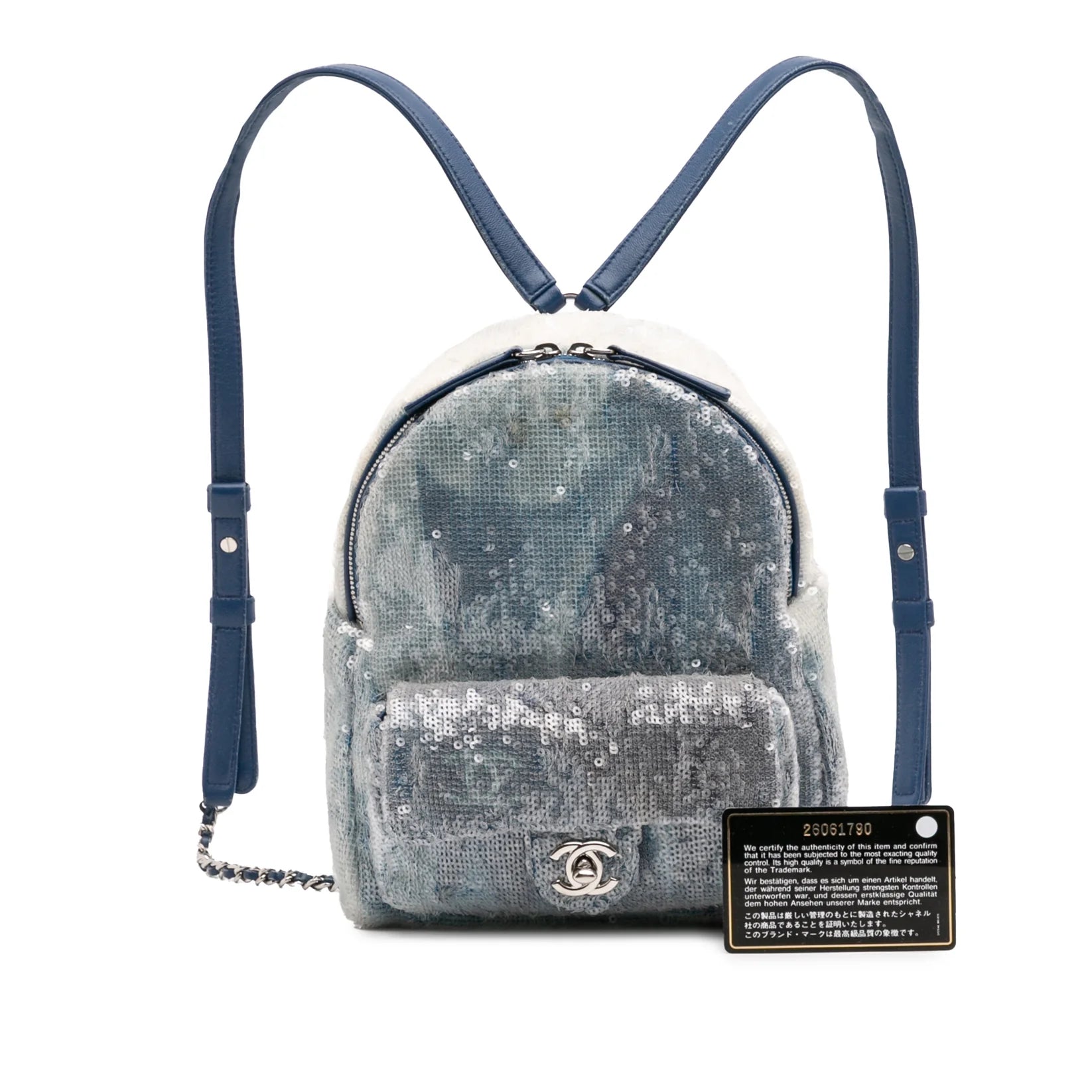 Chanel Small Sequin Waterfall Backpack
